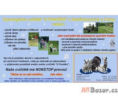 Výcvik všech plemen psů - cvičiště U Puntíků