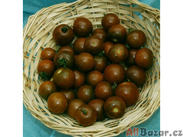 Rajče Brown Berry Balení obsahuje 10 semen