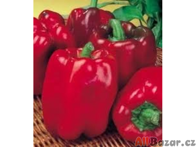 Paprika Quadrato D'asti Rosso Balení obsahuje 30 semen