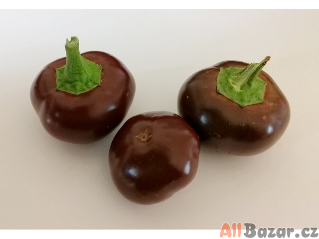 semena chilli paprik Cherry chocolate
