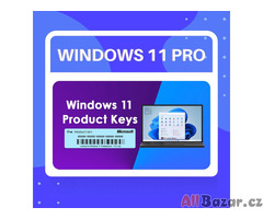 Windows 11 Pro 32/64 Bit Licence Original
