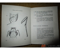 Kniha KAPESNÍ ATLAS BROUKŮ napsal a namaloval Vladimír Javorek. Viz foto.