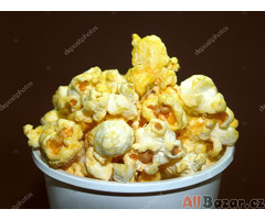 Pukancová kukuřice(popcorn)domácí semena 3 druhy